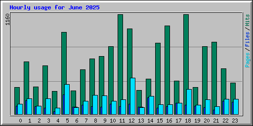 Hourly usage for June 2025